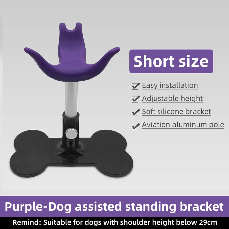 Dog Assist Stand, Adjustable Pet Bench, Groomer Dog Seat, Fixed Dog Chair