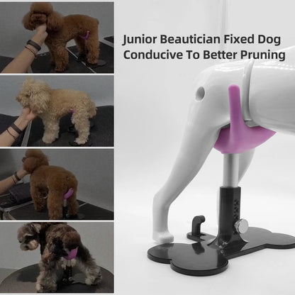 Dog Assist Stand, Adjustable Pet Bench, Groomer Dog Seat, Fixed Dog Chair