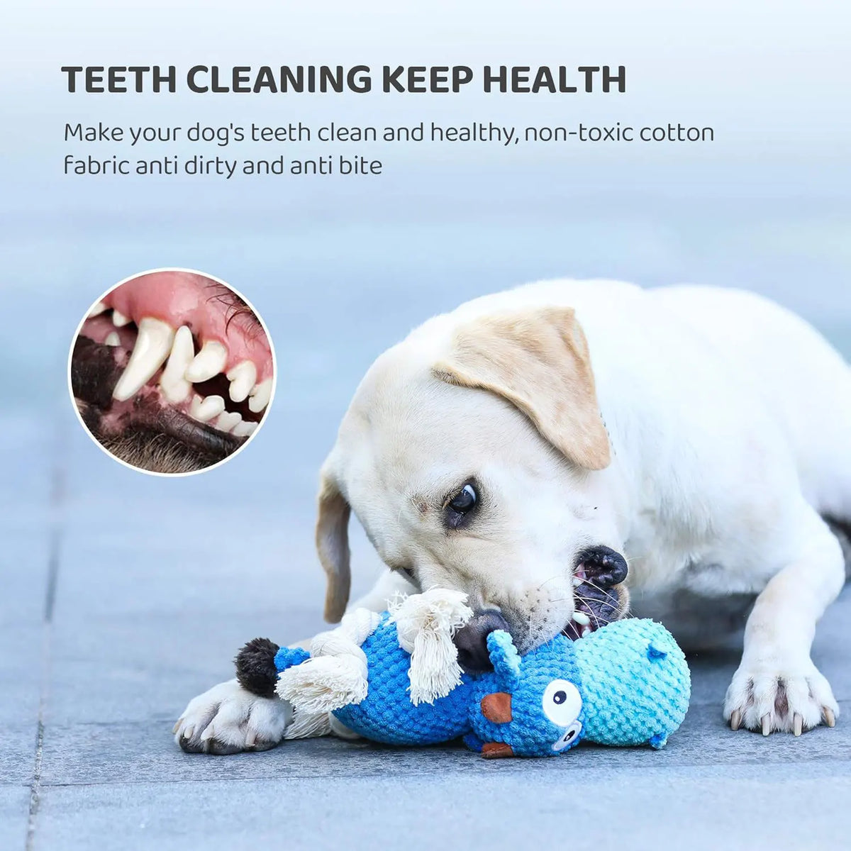 1pc Dog Plush Toy for Chewers, Dog Squeaky Toys,Stuffed Animals Toys with Cotton Material and Crinkle Paper,Durable Chewing Toys