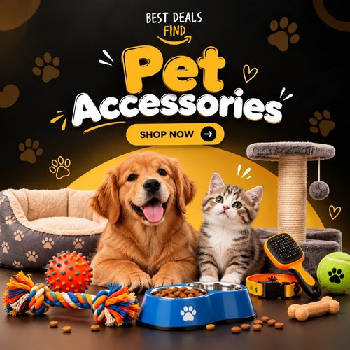 Pet Accessories
