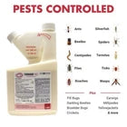 BASF Termidor SC 20 oz Termiticide & Insecticide