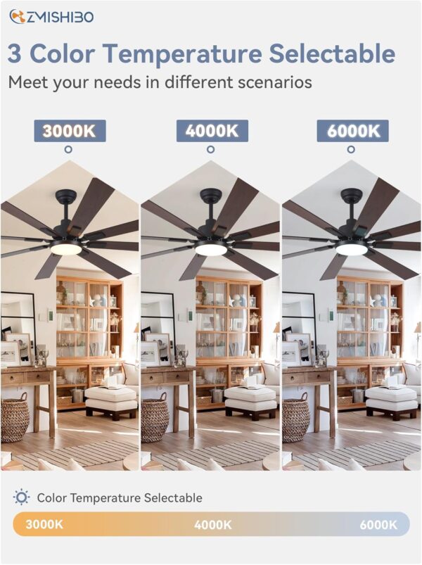 Fan - Image 6